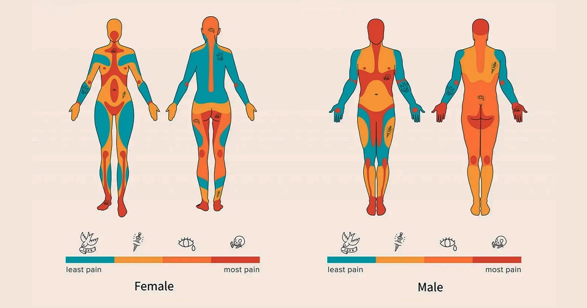 TKTX Numbing Cream Australia Tattoo pain chart